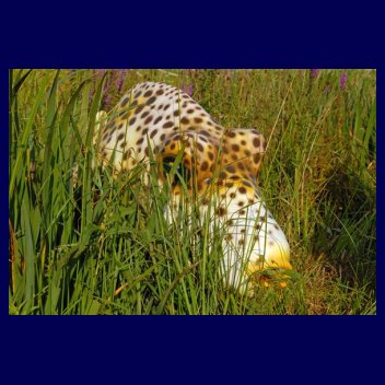 Park Wieloryba w Rewalu