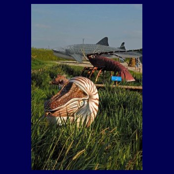 Park Wieloryba w Rewalu