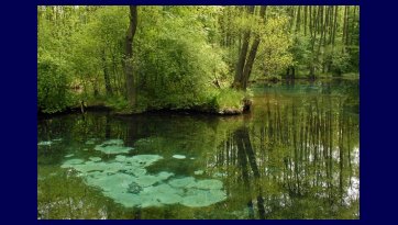 Rezerwat Niebieskie Źródła