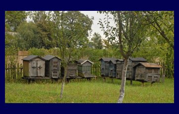 Wielkopolski Park Etnograficzny