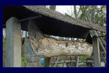 Muzeum Arkadego Fiedlera